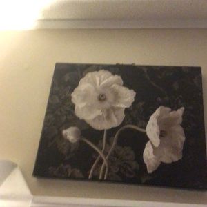 Meet your Posher, Clemencia